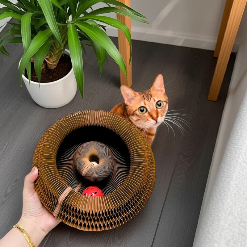 Boltmoo™ Interactive Cat Tunnel Toy