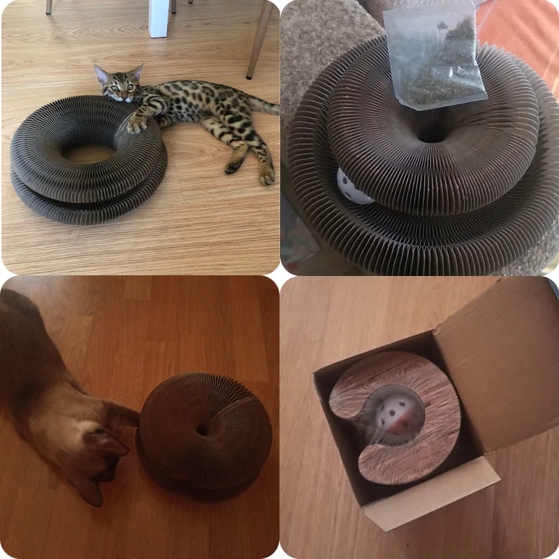 Boltmoo™ Interactive Cat Tunnel Toy