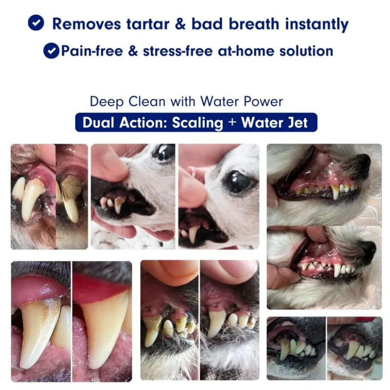Gentle At-Home Dental Care for Your Dog – Fresher Breath, Brighter Smile