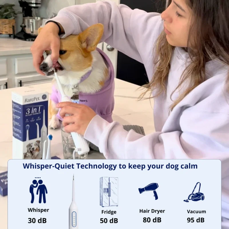 Gentle At-Home Dental Care for Your Dog – Fresher Breath, Brighter Smile